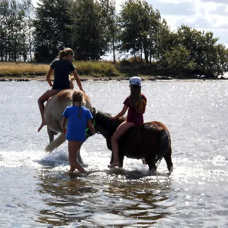 Haus-am-dorfteich-kopendorf-wohnung-2 * Kopendorf