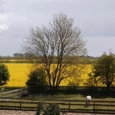 Haus-am-dorfteich-kopendorf-wohnung-2