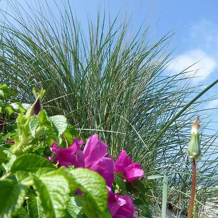 Haus-am-dorfteich-kopendorf-wohnung-2 Lejlighed *